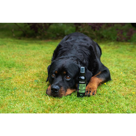 Animology Cloud K9 Perfume – Alcohol-Free Bergamot and Oakmoss Scent, 150ml Spray