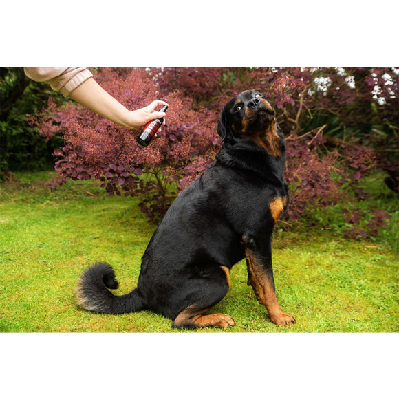 Animology Cloud K9 Perfume – Alcohol-Free Bergamot and Oakmoss Scent, 150ml Spray