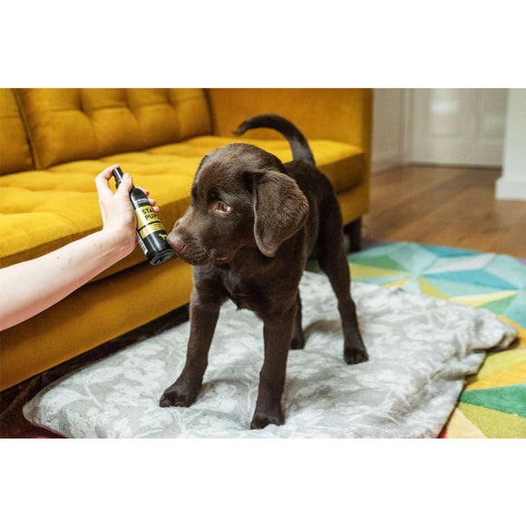 Animology Cloud K9 Perfume – Alcohol-Free Bergamot and Oakmoss Scent, 150ml Spray