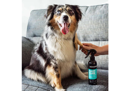 Animology Knot Sure De-tangle Spray – Conditioning Formula, Eases Tangle Removal, 250ml