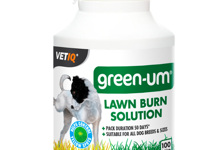 VetIQ Green Um Urine Neutralizer Tablets – 100 Count, Fast-Acting Odor Control Formula