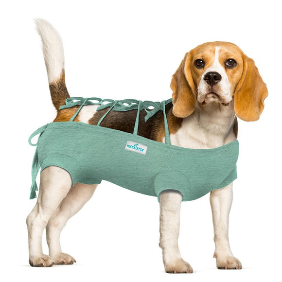 Recowear FIT GRANAT Protective Recovery Suit – Breathable Post-Operative Dog Clothing, Comfortable Fit