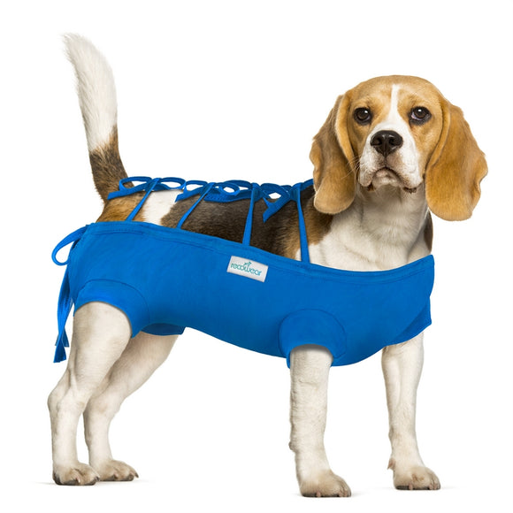 Recowear FIT GRANAT Protective Recovery Suit – Breathable Post-Operative Dog Clothing, Comfortable Fit