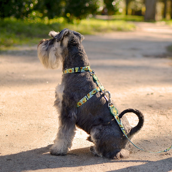 Dashi Avocado Back Harness – Adjustable Large Size Dog Harness with Fun Avocado Pattern