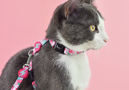 Dashi Flamingo Cat Harness and Leash Set – Adjustable, Lightweight, Vibrant Pattern