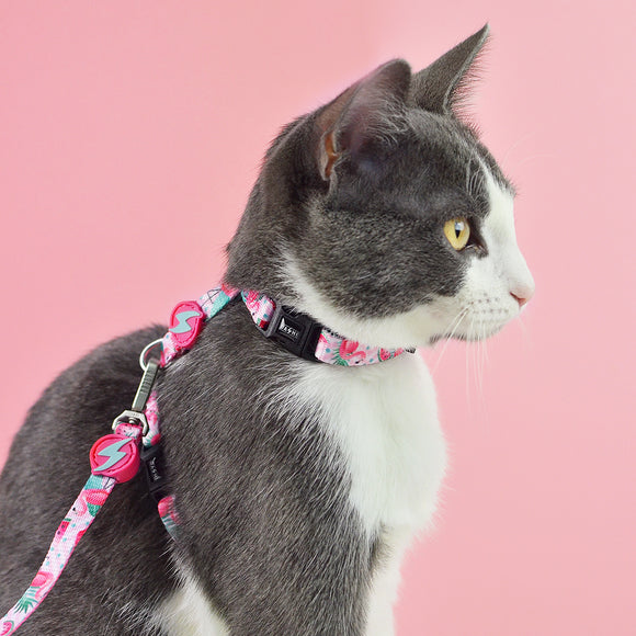 Dashi Flamingo Cat Harness and Leash Set – Adjustable, Lightweight, Vibrant Pattern