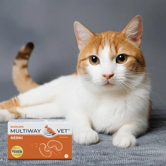 Multiway Vet Duocaps Kidney Support – Twist-Off Capsules, 60 Count, Fast-Absorbing Formula