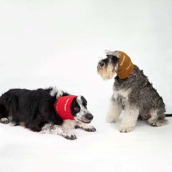 Artero Focus Drying Ear Muffs Set – Protective Adjustable Bands, 3 Sizes for Noise Reduction