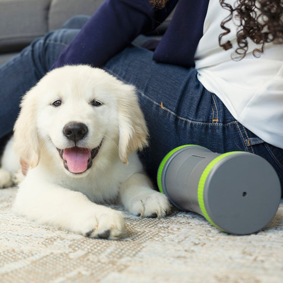 PetSafe Kibble Chase Roaming Treat Dispenser – Interactive Rolling Treat Toy, Engaging Play Design