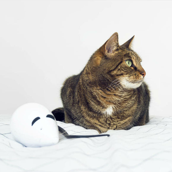 PetSafe RoloRat Automatic Cat Teaser – Interactive Rat Toy with Built-In Timer, Engaging Play