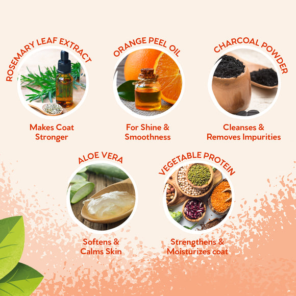 Pet Head Ditch the Dirt Deodorising Conditioner – Charcoal Cleansing Formula, Neutralises Odours, 250ml