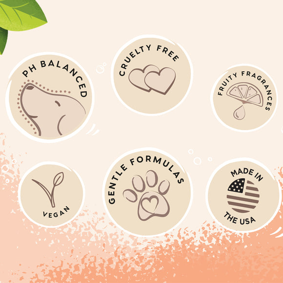 Pet Head Ditch the Dirt Deodorising Conditioner – Charcoal Cleansing Formula, Neutralises Odours, 250ml