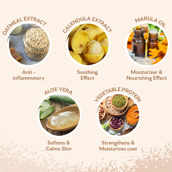 Pet Head Sensitive Soul Moisturizing Dog Shampoo – Soothing Formula for Delicate Skin, 300ml