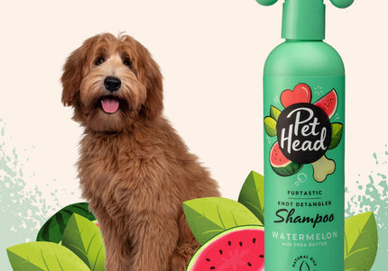 Pet Head Furtastic Knot Detangler Shampoo – Long Hair Formula, 300ml, Eases Combing