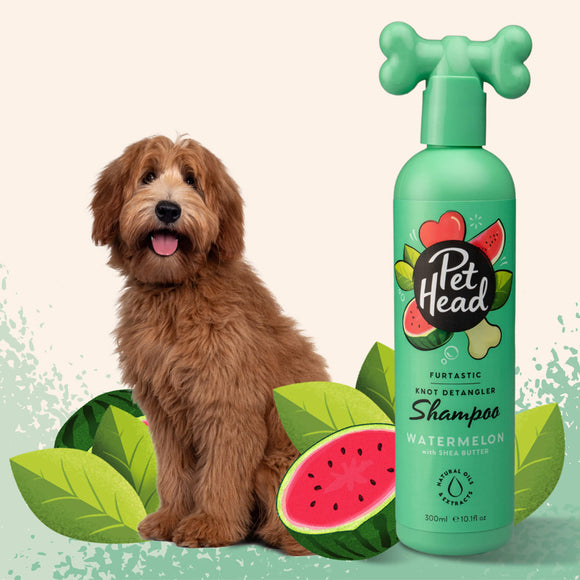 Pet Head Furtastic Knot Detangler Shampoo – Long Hair Formula, 300ml, Eases Combing