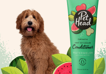 Pet Head Furtastic Knot Detangler Conditioner – Rinse-Off Formula, Eases Combing, 250ml