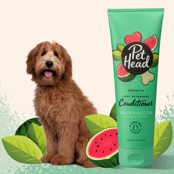 Pet Head Furtastic Knot Detangler Conditioner – Rinse-Off Formula, Eases Combing, 250ml