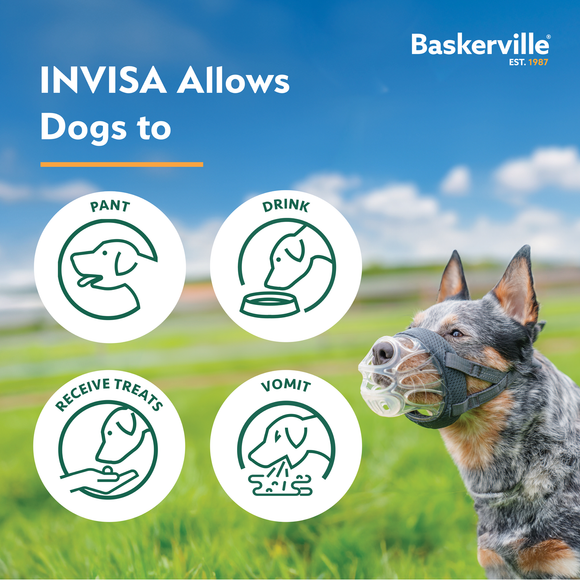 Baskerville Invisa Muzzle – Transparent Physiological Design, Lightweight and Comfortable Fit
