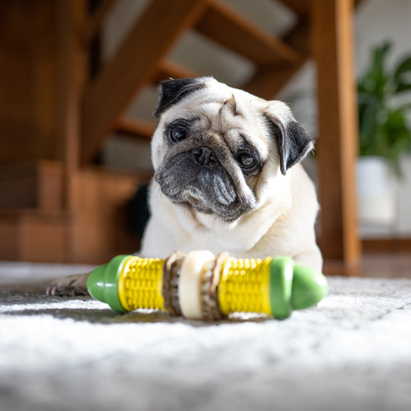 PetSafe Busy Buddy Cravin' Corncob Chew Toy – Durable Corn Design, Small/Medium Size