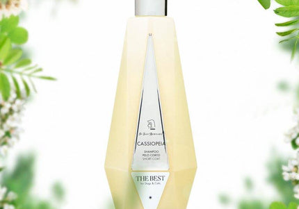 Iv San Bernard The Best Cassiopeia Shampoo – Acacia Extract, 2.5L, Gentle Cleansing for Short Coats