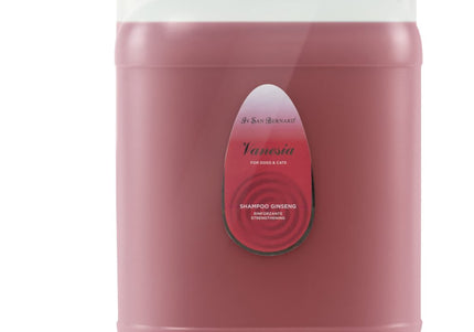 Iv San Bernard Vanesia Ginseng Shampoo – Regenerating Formula with Ginseng and Honey Extract, 500ml