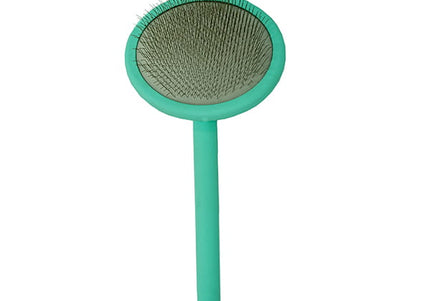 Tauro Pro Line Soft Oval Poodle Brush – Wooden Handle, Mint, Gentle Detangling