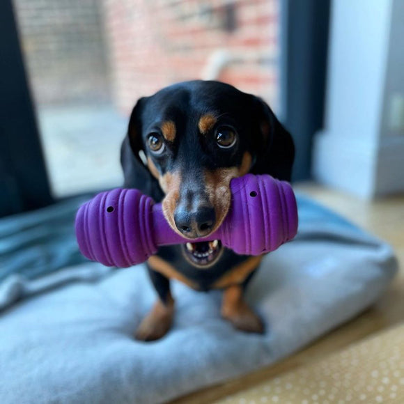PetSafe Busy Buddy Chuckle Dumbbell Chew Toy – Durable Interactive Design, Entertaining Shape