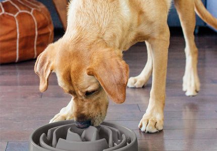 Outward Hound Fun Feeder Slo Bowl – Gray Slow-Feeding Bowl, 27cm Diameter, Promotes Healthy Eating