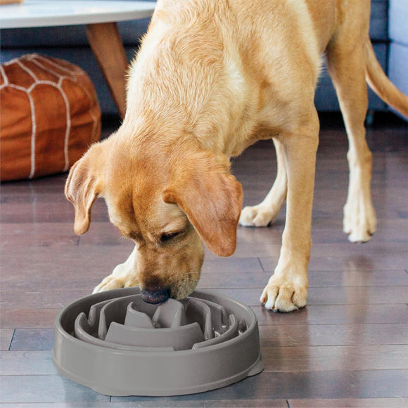 Outward Hound Fun Feeder Slo Bowl – Gray Slow-Feeding Bowl, 27cm Diameter, Promotes Healthy Eating