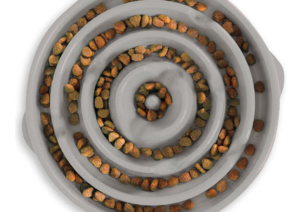 Outward Hound Fun Feeder Slo Bowl – Gray Slow-Feeding Bowl, 27cm Diameter, Promotes Healthy Eating