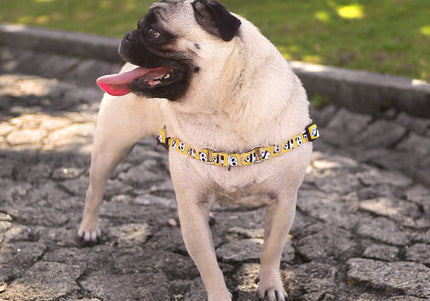 Dashi Snooze Front Harness – Norwegian No-Pull Dog Harness, Panda Pattern, Size S