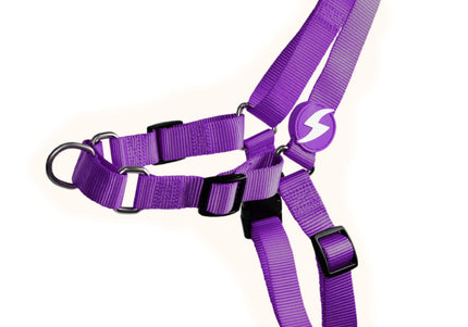 Dashi Solid Front Harness Purple – No-Pull Norwegian Dog Harness, Large, Durable Design