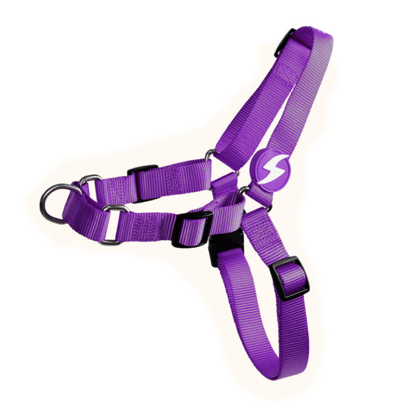 Dashi Solid Front Harness Purple – No-Pull Norwegian Dog Harness, Large, Durable Design
