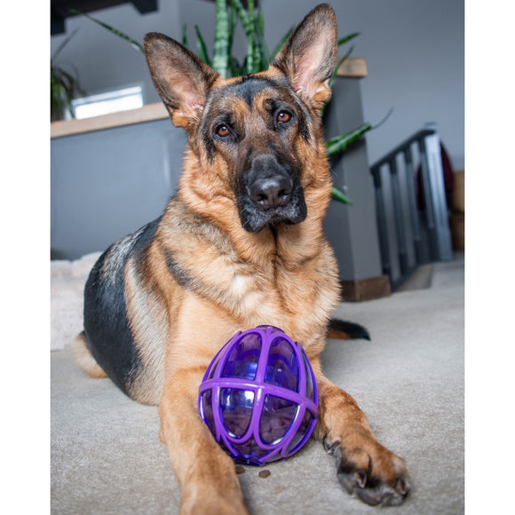 PetSafe Busy Buddy Kibble Nibble Treat Toy – Small Egg-Shaped Durable Dispenser