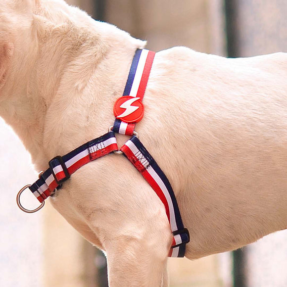Dashi Stripes Red & Blue Front Harness – No-Pull Norwegian Dog Harness, Large, Durable Design