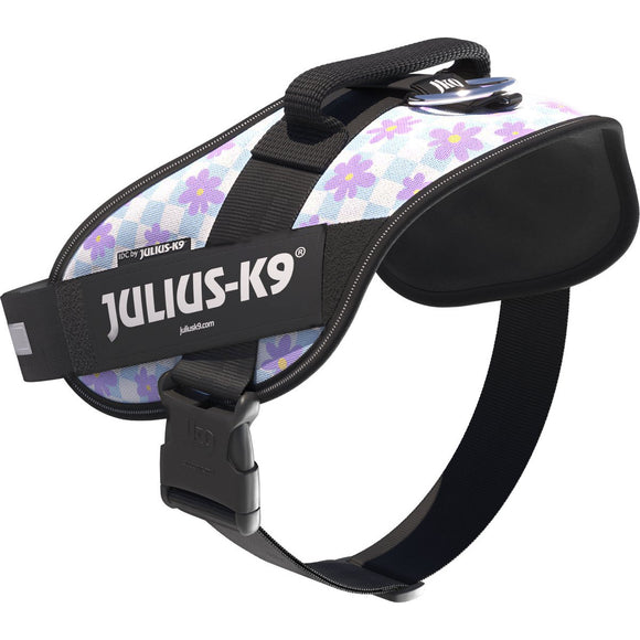 Julius-K9 IDC Powerharness Cartoon – Reflective Floral Dog Harness, Comfortable Fit Design