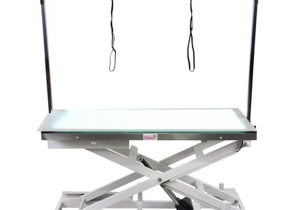 Blovi Luminous Grooming Table 120x65cm – Electric Lift, LED Glass Top, Professional Design