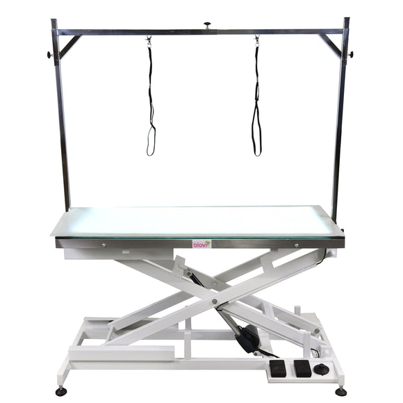 Blovi Luminous Grooming Table 120x65cm – Electric Lift, LED Glass Top, Professional Design