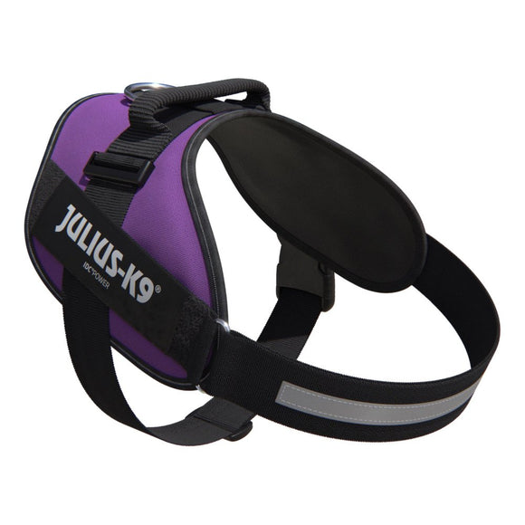 Julius-K9 IDC Powerharness Dark Purple – Premium Adjustable Dog Harness, Baby 1 Size