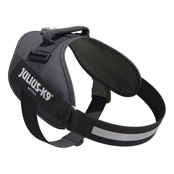 Julius-K9 IDC Powerharness Gray – Premium Adjustable Harness, Mini-Mini Size, Durable Design