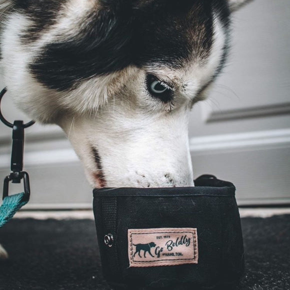 Hamilton Go Boldly Foldable Travel Bowl – Textile, Compact Design, Lightweight and Durable