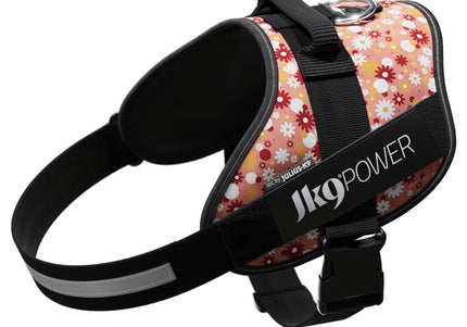 Julius-K9 IDC Powerharness Pink Flowers – Top Quality Floral Pattern Harness, Size 2