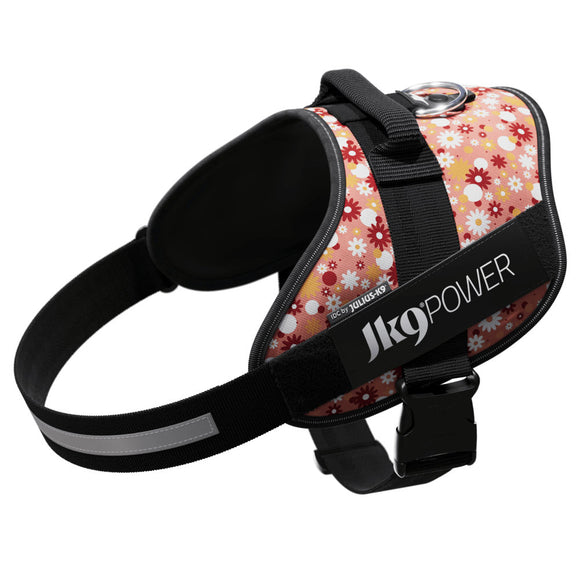 Julius-K9 IDC Powerharness Pink Flowers – Top Quality Floral Pattern Harness, Size 2