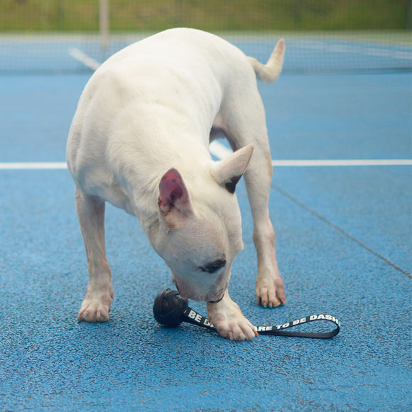 Dashi Black Rubber Ball 7cm – Durable Tug Toy with Reinforced Tape Handle