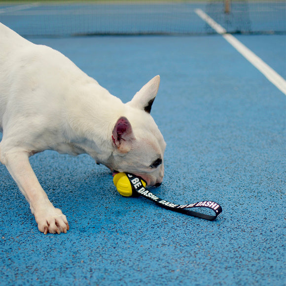 Dashi Yellow TPR Tug Ball 8cm – Solid Durable Play Toy with Tape Handle
