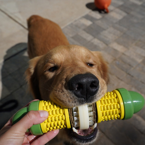 PetSafe Busy Buddy Cravin' Corncob Chew Toy – Durable Corn Design, Small/Medium Size
