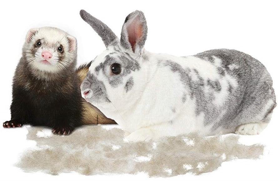 FURminator Small Animal Deshedding Tool – Ergonomic Handle with FURejector Button