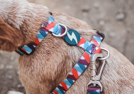 Dashi Mojo Back Harness – Adjustable Guard Harness with Colorful Wave Pattern, XS Size