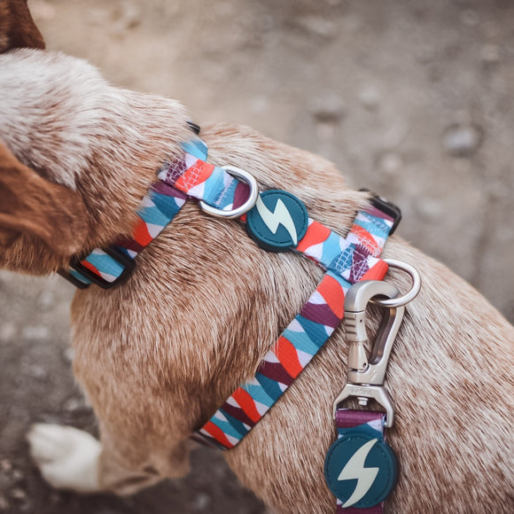 Dashi Mojo Back Harness – Adjustable Guard Harness with Colorful Wave Pattern, XS Size