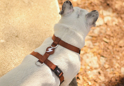 Dashi Solid Back Harness Brown – Adjustable Guard Dog Harness, Comfortable Fit, XS Size